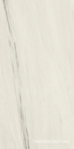 Керамогранит Atlas Concorde Italy Marvel Dream Marvel Bianco Fantastico Matt 60x120 Белый 