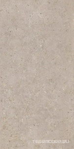 Керамогранит Kerama Marazzi Риккарди  бежевый матовый обрезной 60x119,5 Серый 