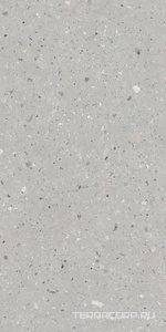 Керамогранит Idalgo Граните Концепта  Жемчуг MR мат.ZZ 60х120 Серый 