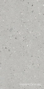 Керамогранит Idalgo Граните Концепта  Жемчуг MR мат.ZZ 60х120 Серый 