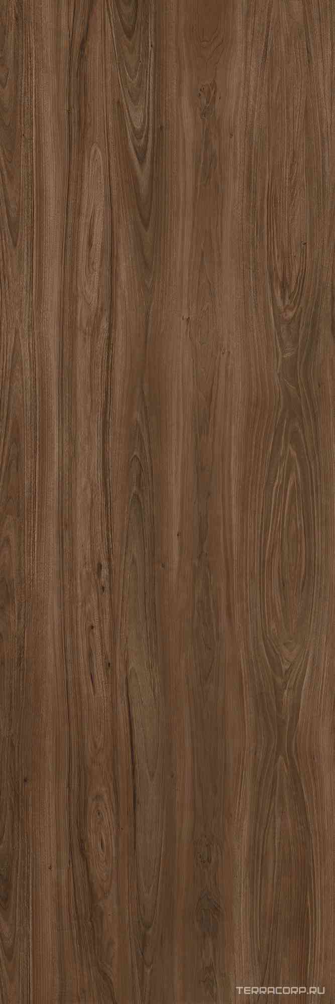 Legno Venezia (L-Wood) Noce 5.6 mm ZZ 100x300