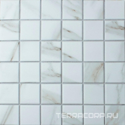 Calacatta Gold-48 (48x49x6) ZZ 30,6x30,7