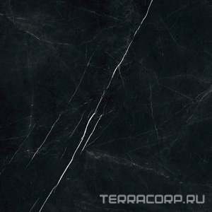 Керамогранит AtlasConcorde Россия FORTE DEI MARMI F.d.M. Elegant B. Rett 80x80/Ф.Д.М. Элегант Б. Рет 80Х80 Черный 