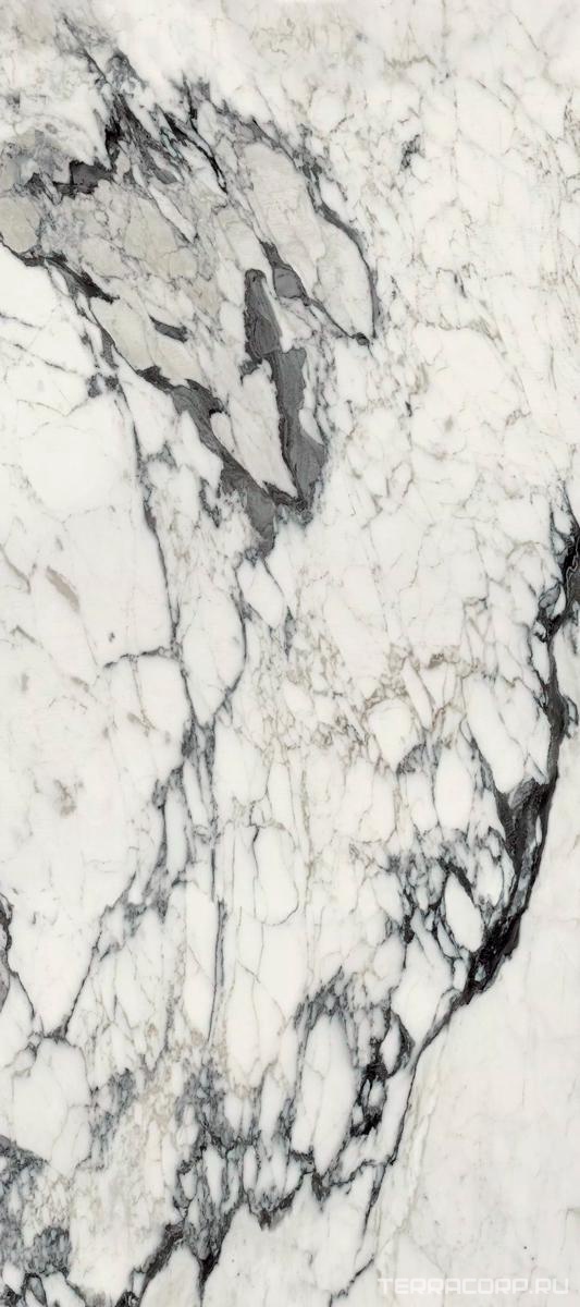Керамогранит Florim Les Bijoux De Rex Calacatta Altissimo Blanc Matte 80x180 Белый, фото 7