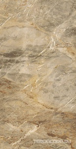 Керамогранит Fusure Ceramic Luxury Stone  SS12053 Pol KL 60x120 Коричневый 