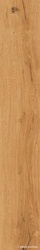 Feelwood Cognac 24x150