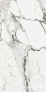 Керамогранит Florim Les Origines De Rex Les Origines Argent Glossy 60x120 Белый 