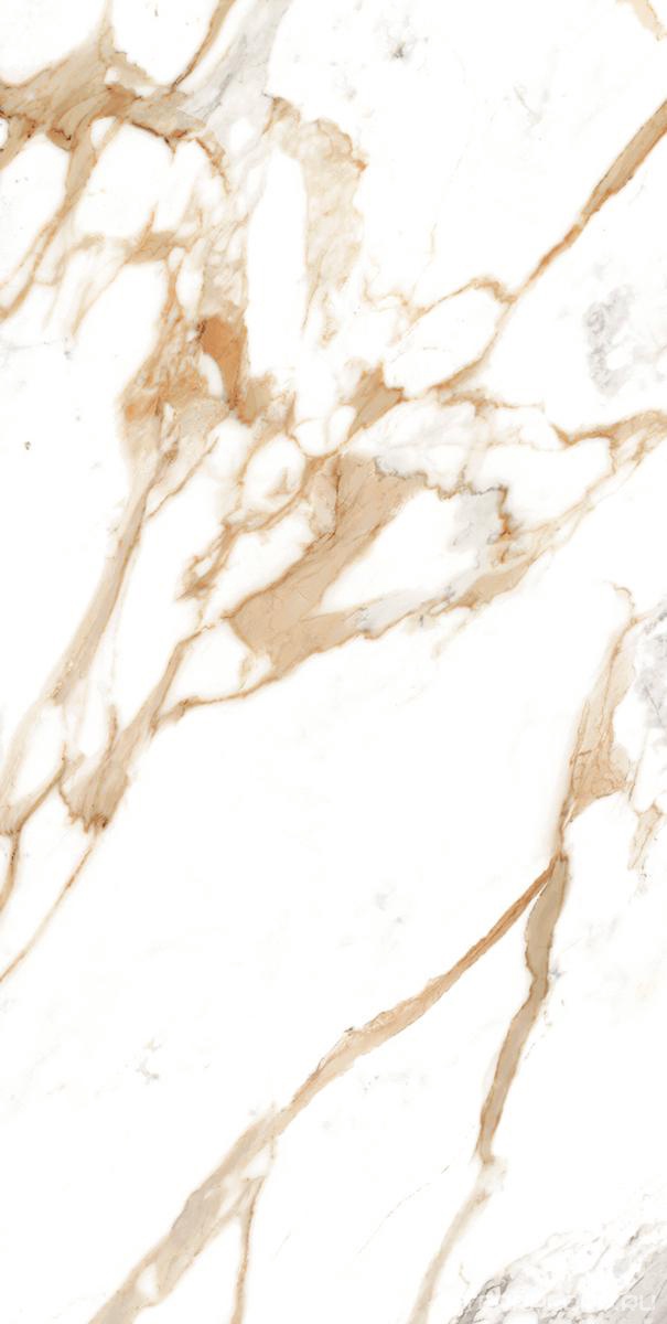 Керамогранит Benadresa Medici Gold Natural 60x120 Бежевый, фото 5
