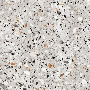 Керамогранит ProGRES Ceramica Evia Terrazzo   серый  глазурованный матовый 60х60 Серый 
