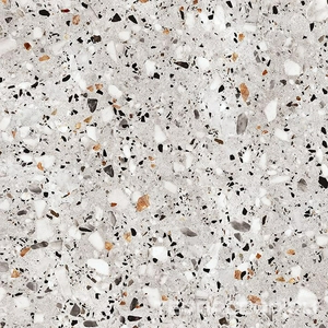 Керамогранит ProGRES Ceramica Evia Terrazzo   серый  глазурованный матовый 60х60 Серый 