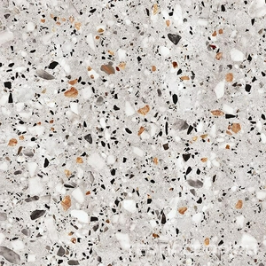 Керамогранит ProGRES Ceramica Evia Terrazzo   серый  глазурованный матовый 60х60 Серый 