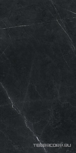 Керамогранит Benadresa Tessino  Black Pulido 60x120 Черный 