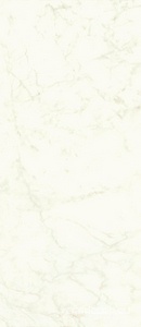 Керамогранит Atlas Concorde Italy Marvel Shine Marvel Calacatta Delicato 120x278 Lappato Белый 