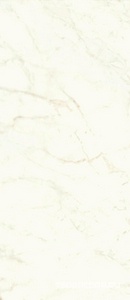 Керамогранит Atlas Concorde Italy Marvel Shine Marvel Calacatta Delicato 120x278 Lappato Белый 