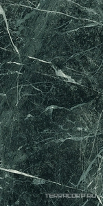 Керамогранит Emil Ceramica Tele Di Marmo Revolution Verde saint denis Nat ZZ30x60 Комбинированный 