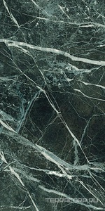 Керамогранит Emil Ceramica Tele Di Marmo Revolution Verde saint denis Nat ZZ30x60 Комбинированный 