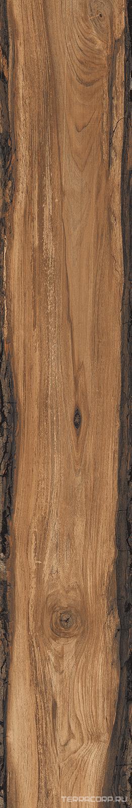 Керамогранит Sadon Sherwood Mahogany 24x150 Бежевый, фото 4
