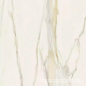Керамогранит Florim Magnum I Classici di Rex Calacatta Gold Matte 120x120 Белый 