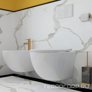 Унитаз подвесной 525х360мм, безободковый, сиденье с микролифтом, крепёж в компл., (цв.белый глянец),  Aqueduto Ovo OVO0110