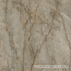 Керамогранит Sadon Canova  Oxford Grey  120x120 Серый 