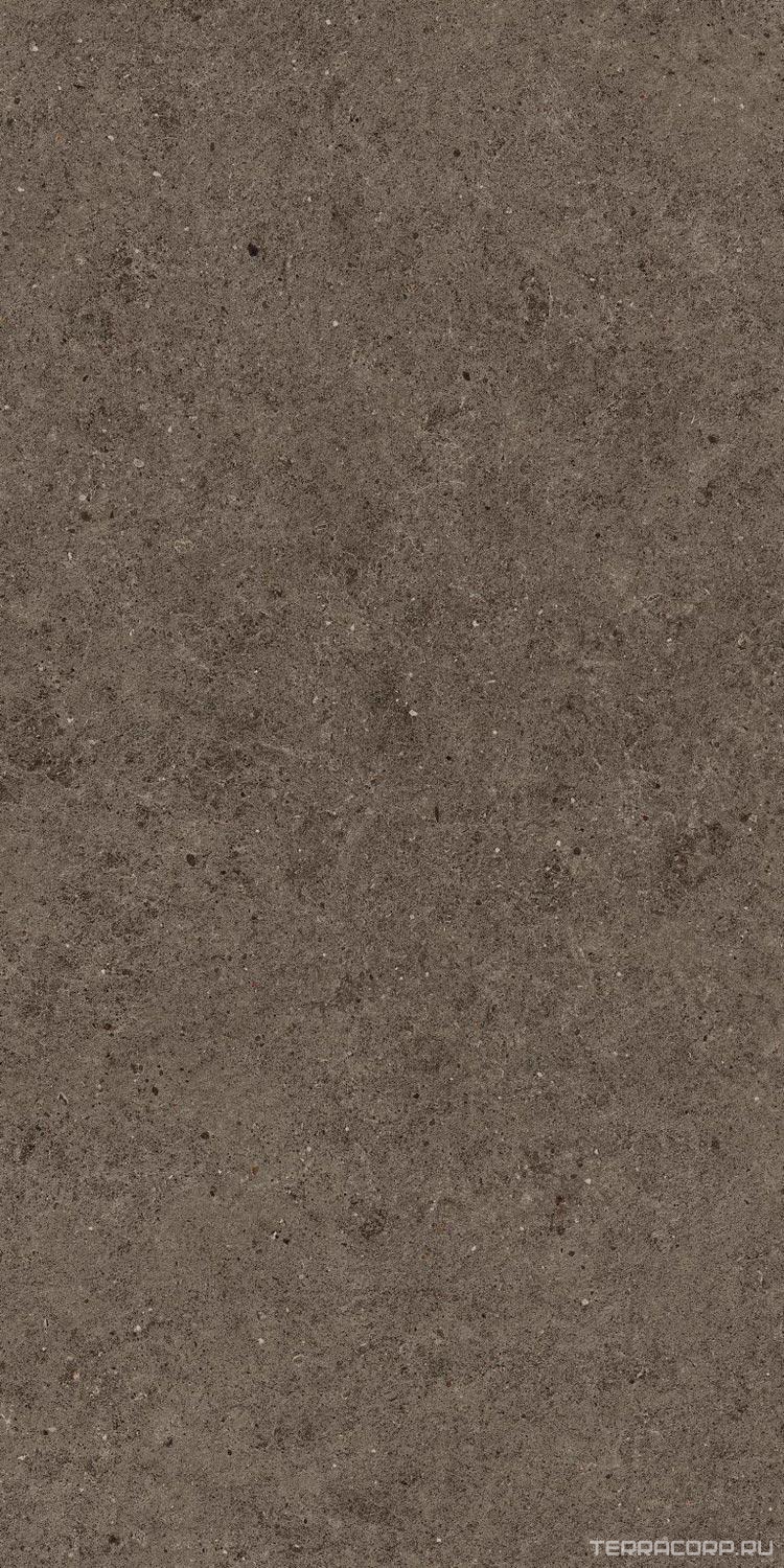 Керамогранит Atlas Concorde Italy Boost Stone Tobacco 60x120 Коричневый, фото 7