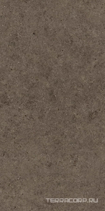 Керамогранит Atlas Concorde Italy Boost Stone  Tobacco 60x120  Коричневый 
