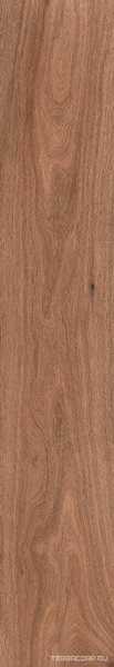 Nobile Nogal 20x120