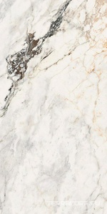 Керамогранит La Faenza Aesthetica AE PAO6 12 RM 60x120 Белый 