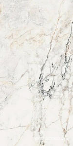 Керамогранит La Faenza Aesthetica AE PAO6 12 RM 60x120 Белый 