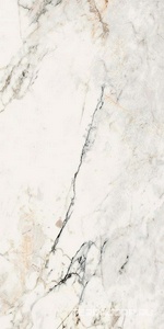 Керамогранит La Faenza Aesthetica AE PAO6 12 RM 60x120 Белый 