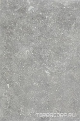 Ardenne Grigio 40x60.8