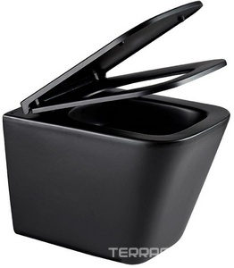 Подвесной унитаз c крышкой-сиденьем микролифт, смыв торнадо, безободковый, цв.черный ZZ Lemark Florex 9612002