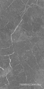Керамогранит Cersanit Pamir Глаз. керамогранит  темно-серый рельеф ректификат 44,8x89,8 Серый 