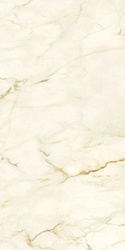 Calacatta Macchia Vecchia Natural Plus 60х120