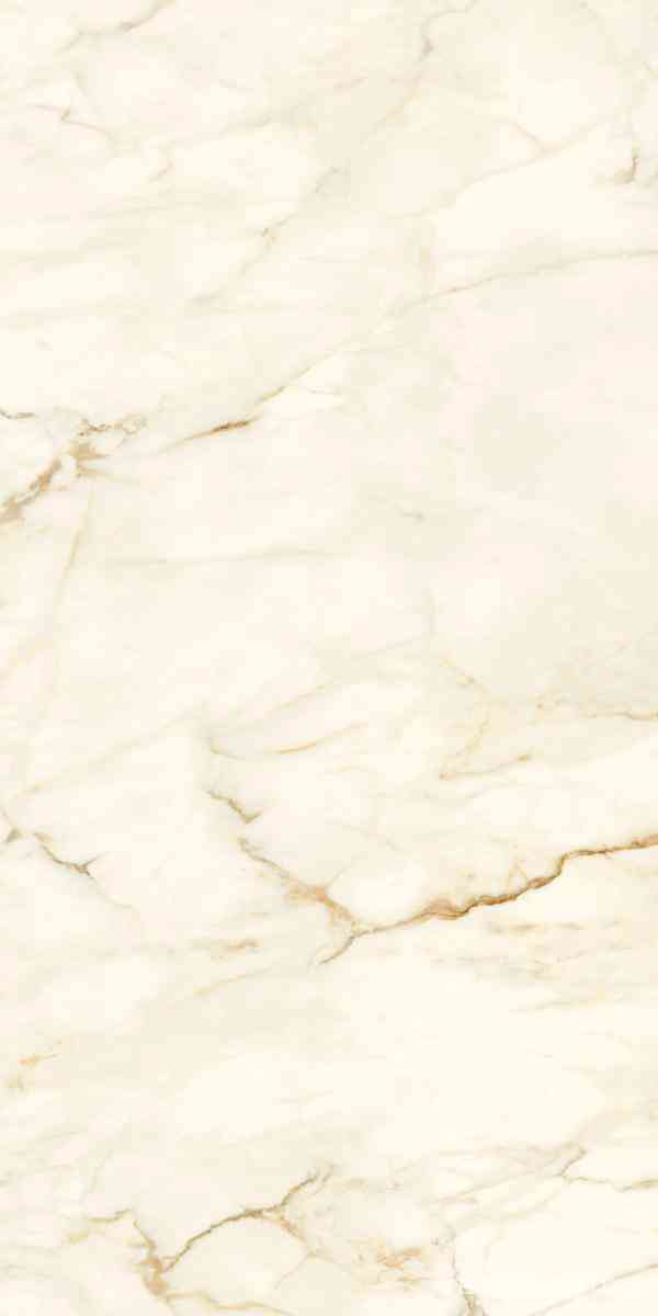 Calacatta Macchia Vecchia Natural Plus 60х120