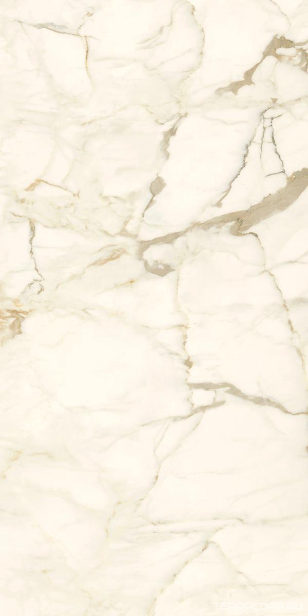 Керамогранит Ariostea Marmi Classici Calacatta Macchia Vecchia Natural Plus 60х120 Бежевый, фото 5