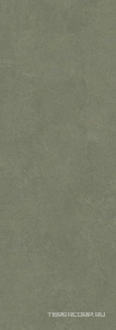 Керамогранит Laminam Gemini  Muschio 2+  100x300 Серый 