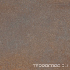 Керамогранит Alpas 2 CM Outdoor Enrich Brown (Rustin) 2 cm 60x60 Коричневый 