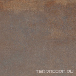 Керамогранит Alpas 2 CM Outdoor Enrich Brown (Rustin) 2 cm 60x60 Коричневый 