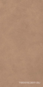 Керамогранит Atlas Concorde Italy Boost Natural  Coral 60x120 Коричневый 