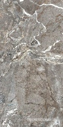 Silver Porphyry Struct 60x120       