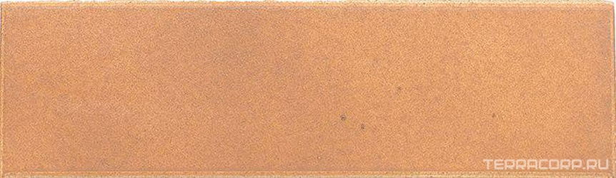 Natural Strips XX |6x24.4