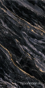 Керамогранит Fusure Ceramic Ariostocratic Style Light Luxury FSS12050 Pol 60x120 Черный 