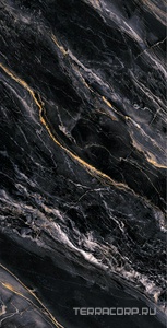 Керамогранит Fusure Ceramic Ariostocratic Style Light Luxury FSS12050 Pol 60x120 Черный 