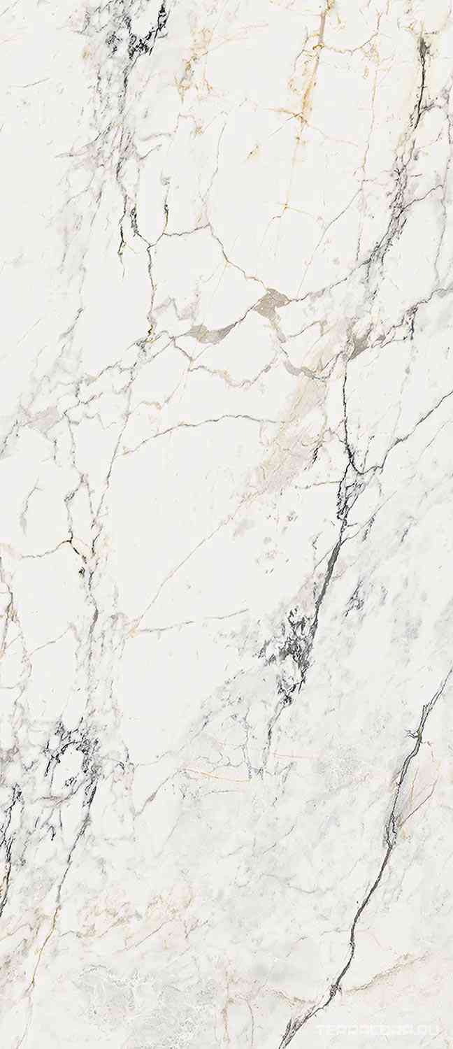 AE PAO6 278 LP 120x278