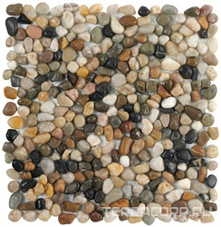 Natural Stone Motion Small Multicilor XX |30x30