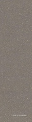 Piatto Dorain Grey Glossy 15 mm 80x300