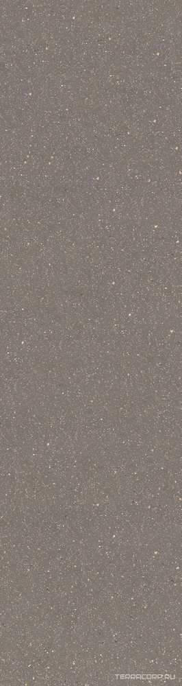 Piatto Dorain Grey Glossy 15 mm 80x300