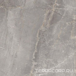 Charme Grey 120x120