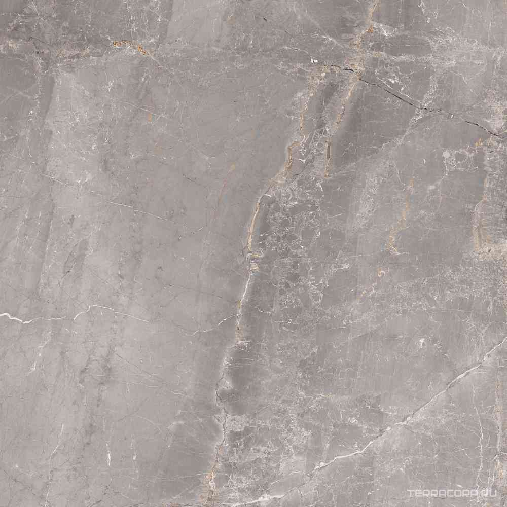 Charme Grey 120x120
